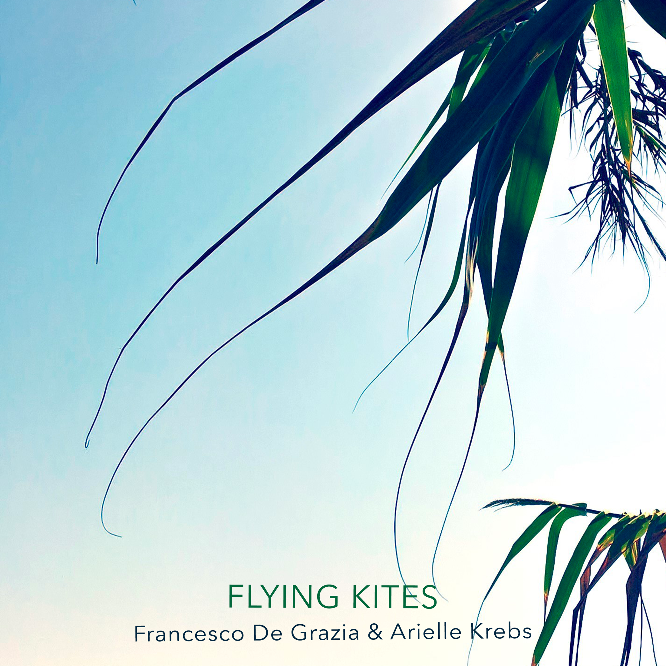 FLYING KITES