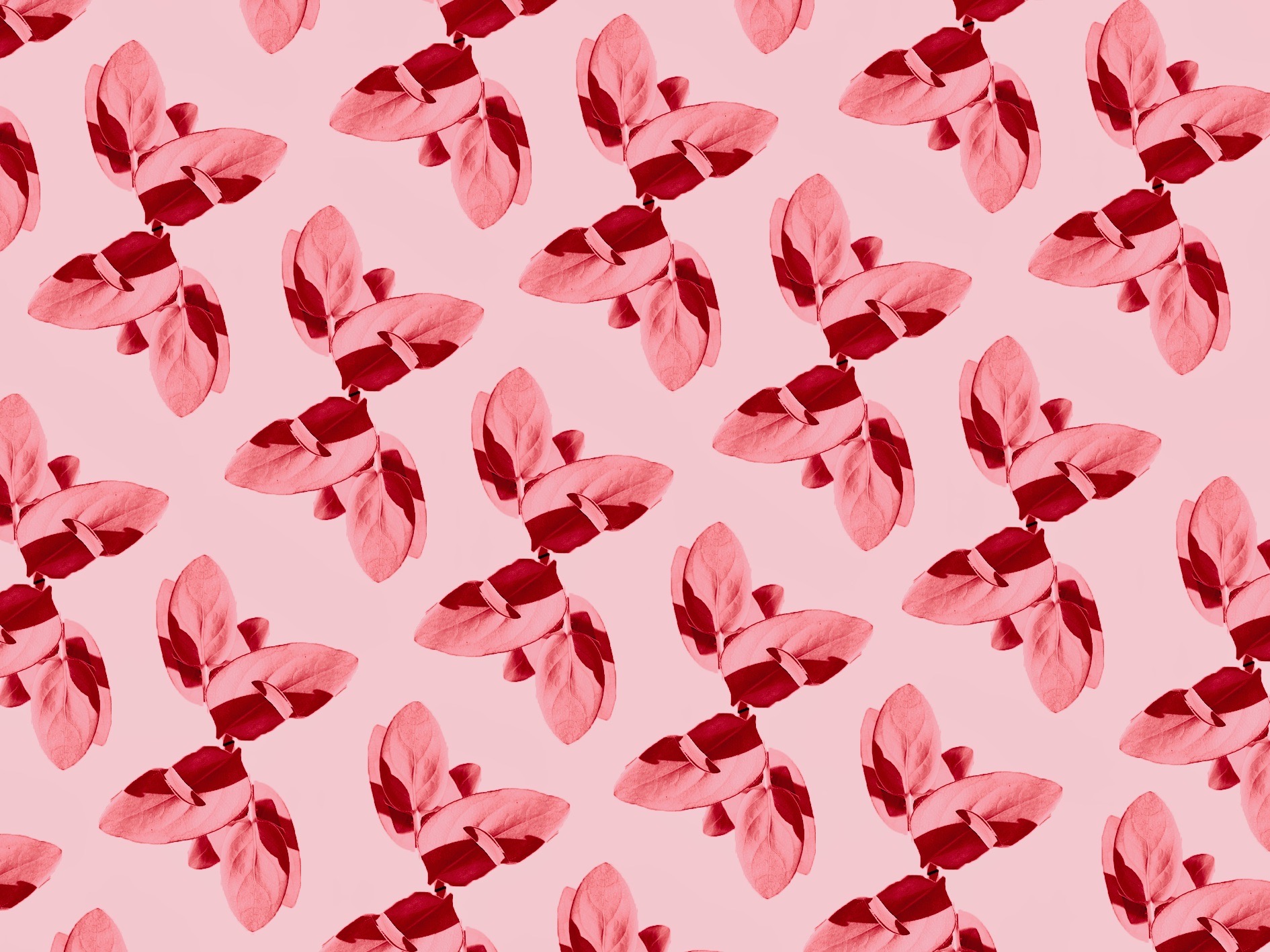 Creating my own paper designs.
Pink leaves.