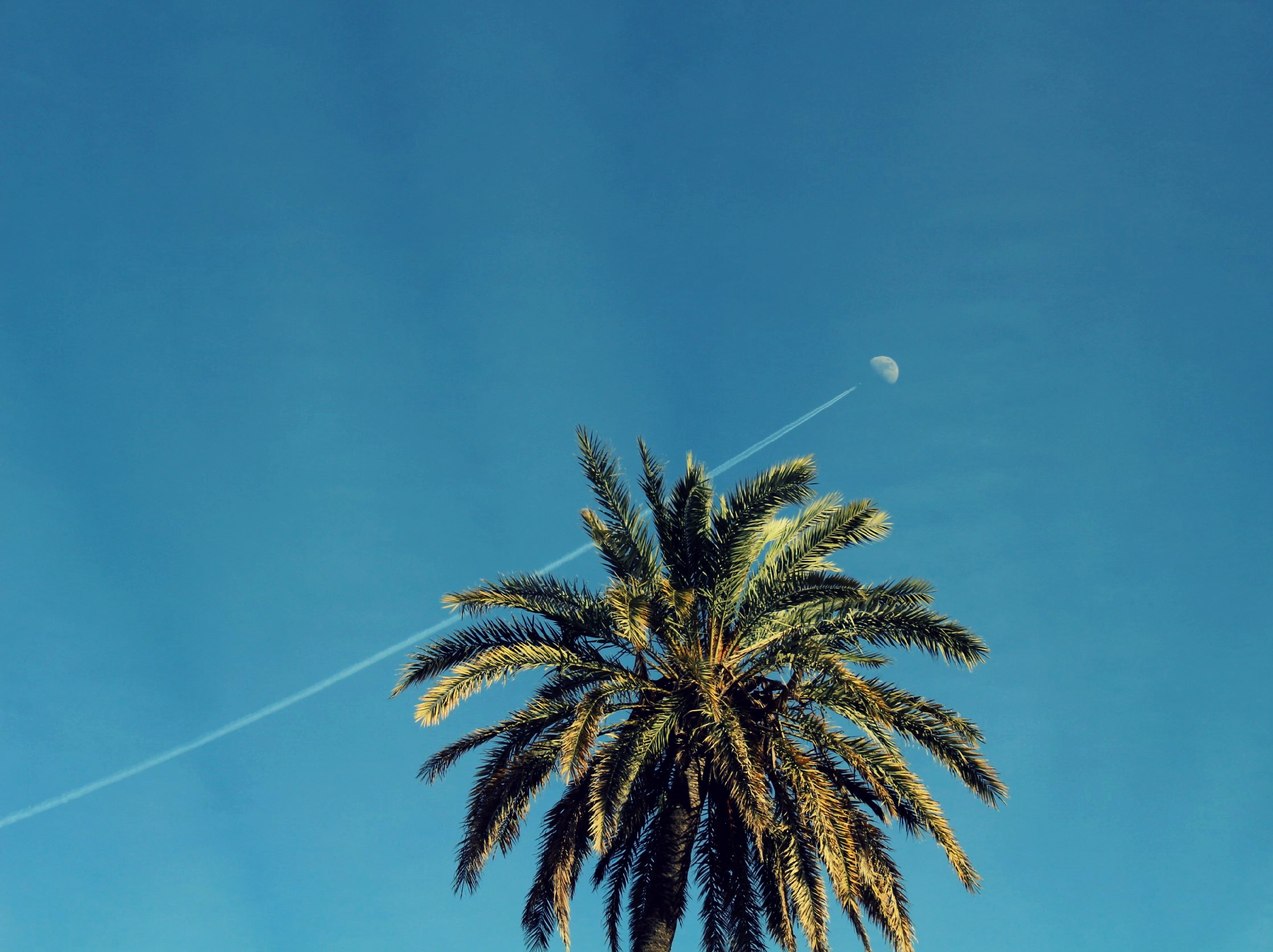 Fly me to the moon