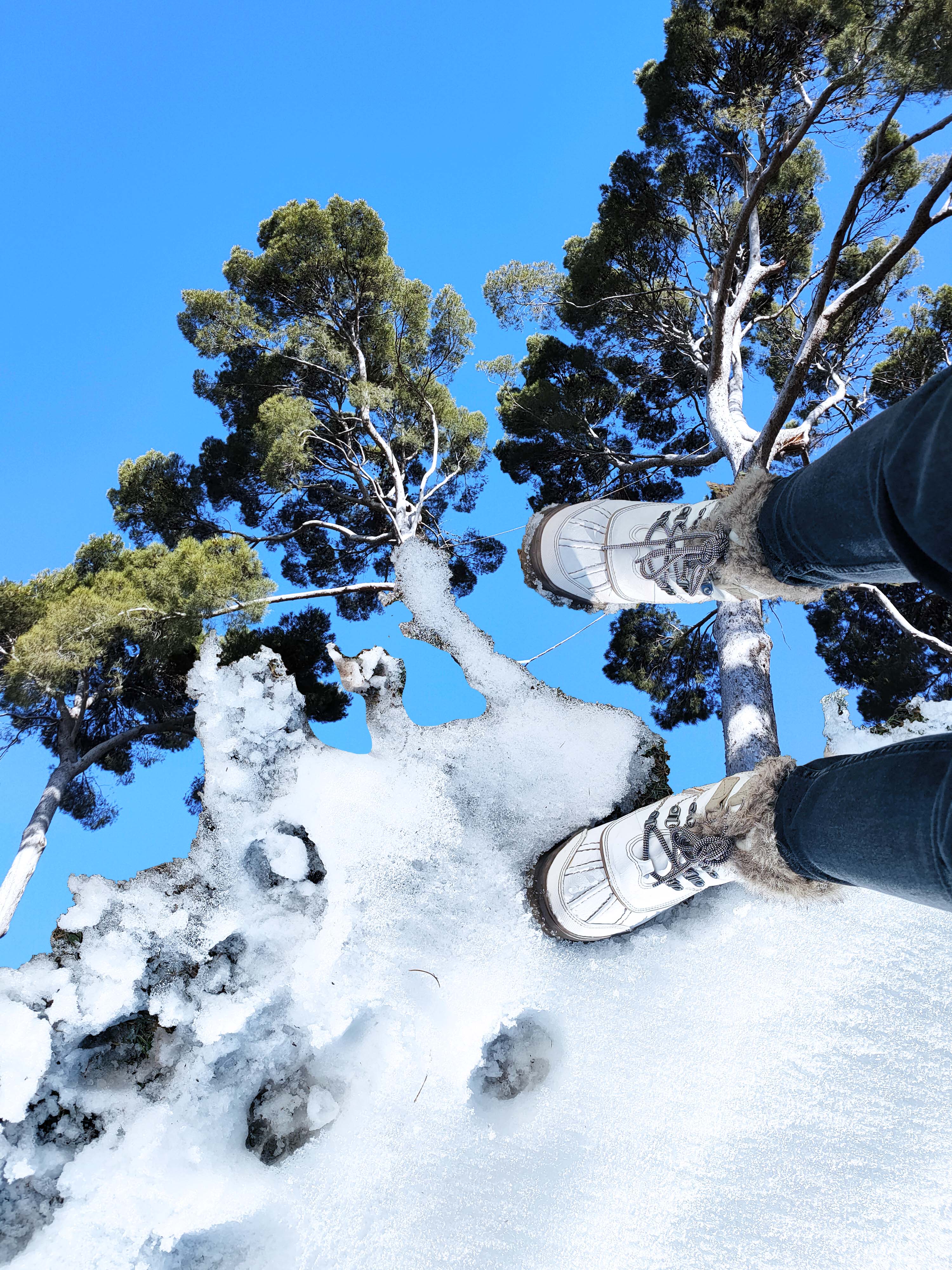 "Winter playground" Collection.