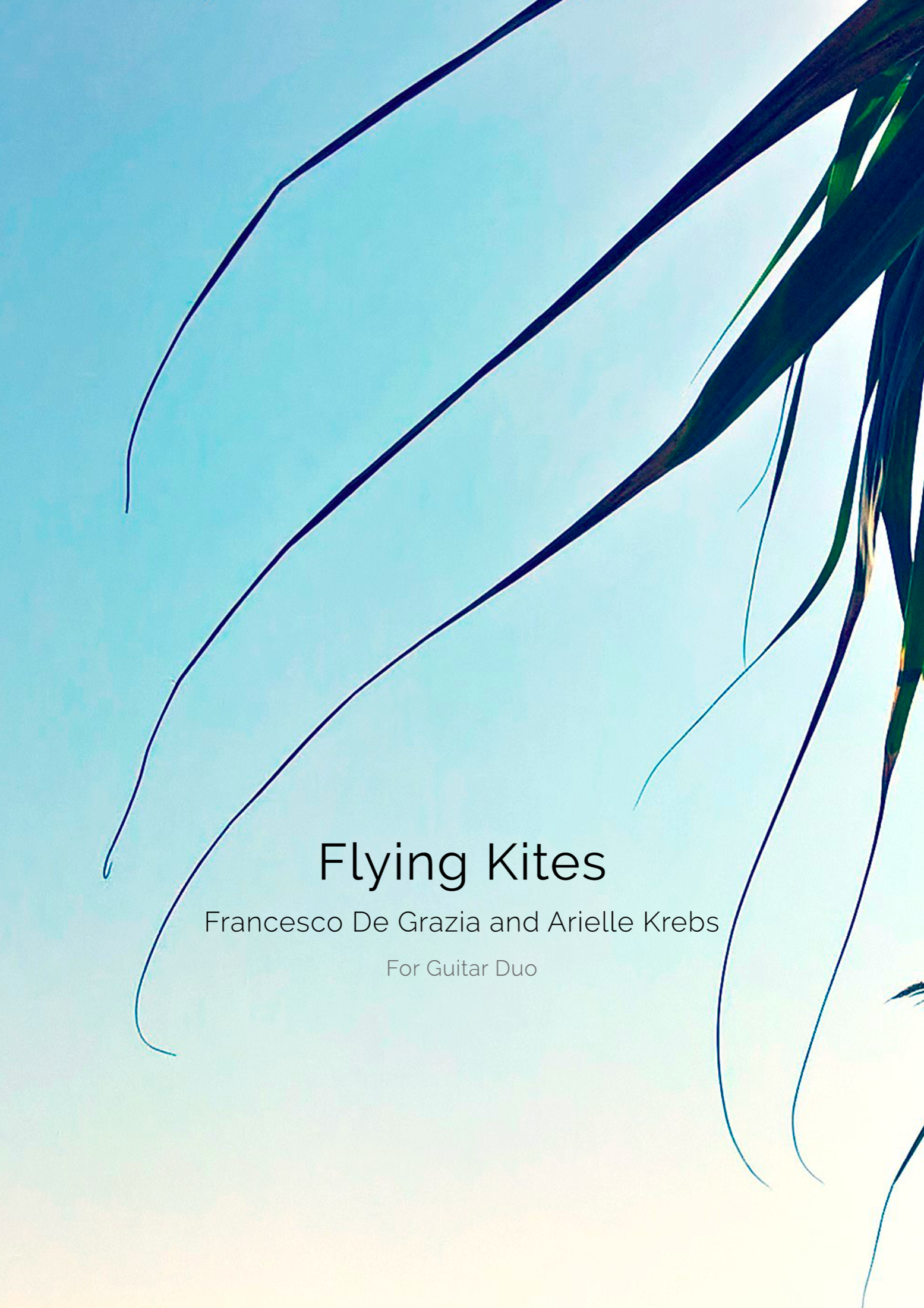 Flying Kites - Score for Guitar Duo (Digital Sheet Music Download)